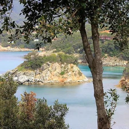 Napoleon By Helloelba 3* Procchio